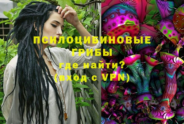 PSILOCYBIN Нязепетровск